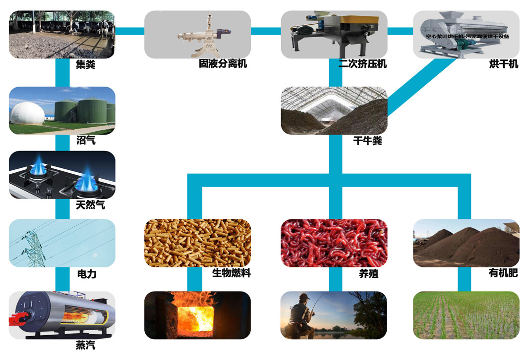 探索种养结合-能源循环利用的可行性解决方案